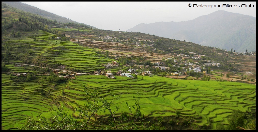 Kausani