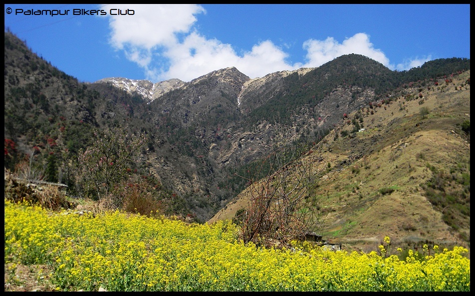 ???????????????????????????????