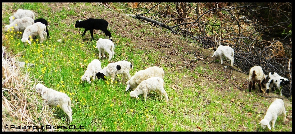 ???????????????????????????????