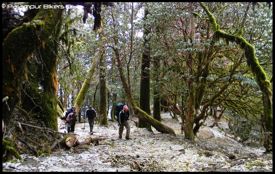 ???????????????????????????????