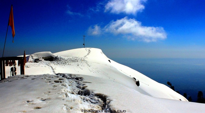 Triund (Kangra , Himachal Pradesh, India)
